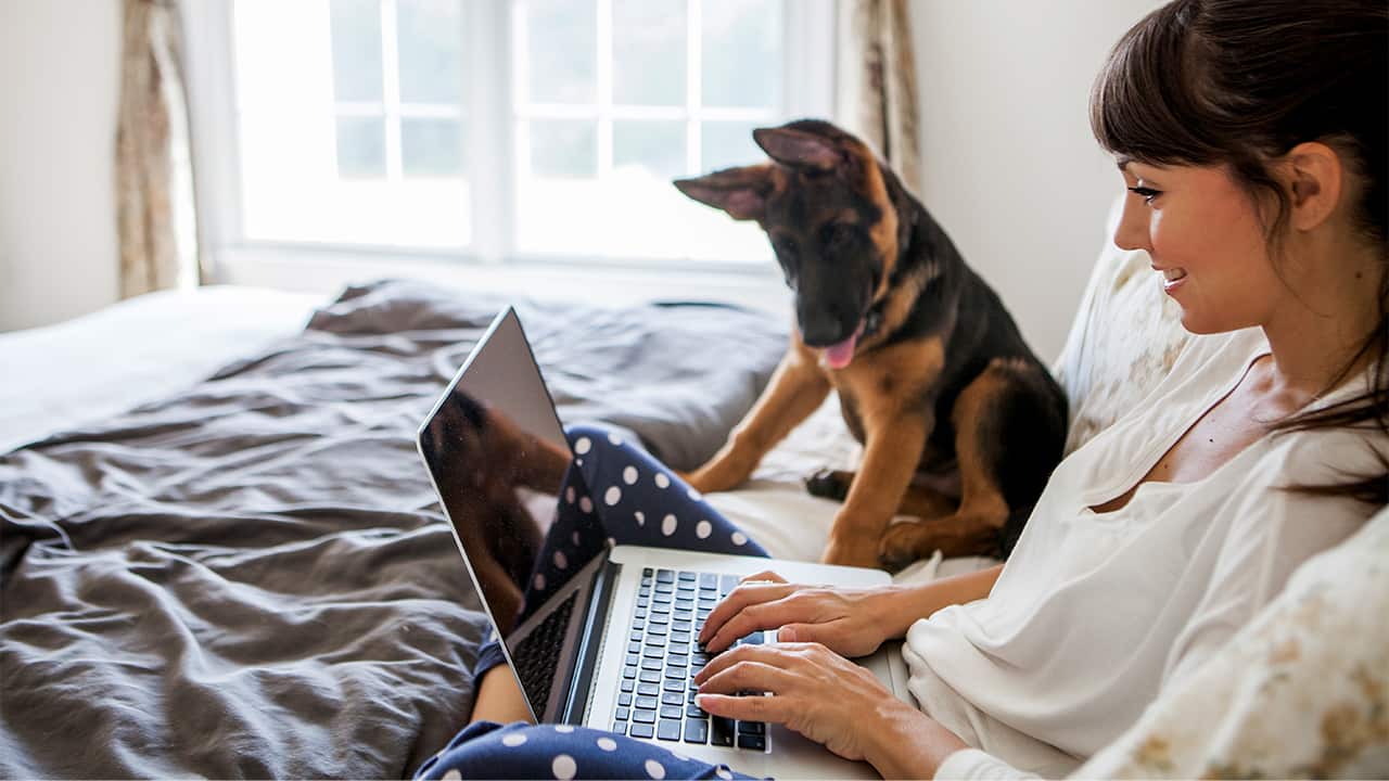 hero Women enjoy at home with her dog istock bed