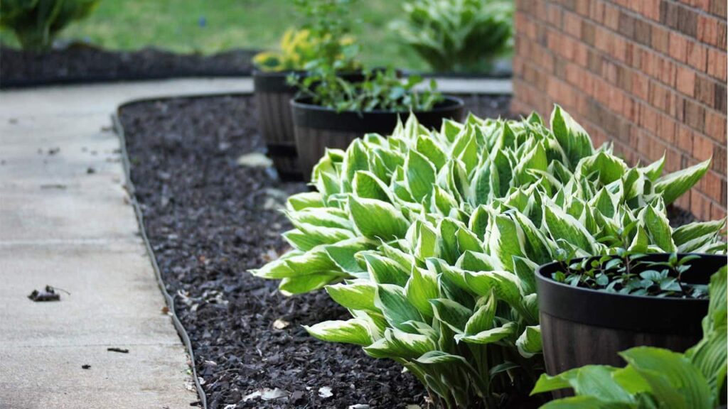 ways to use mulch for easy and inexpensive landscaping