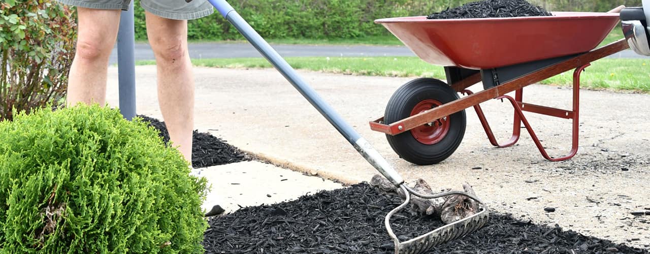 ways to use mulch to landscape a yard