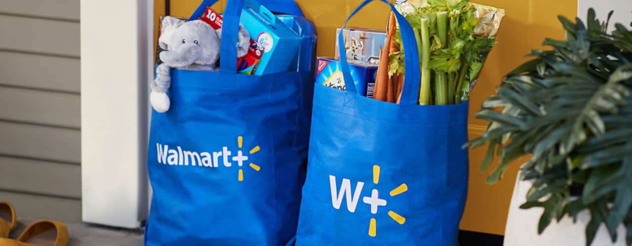 walmart plus delivers groceries to your door