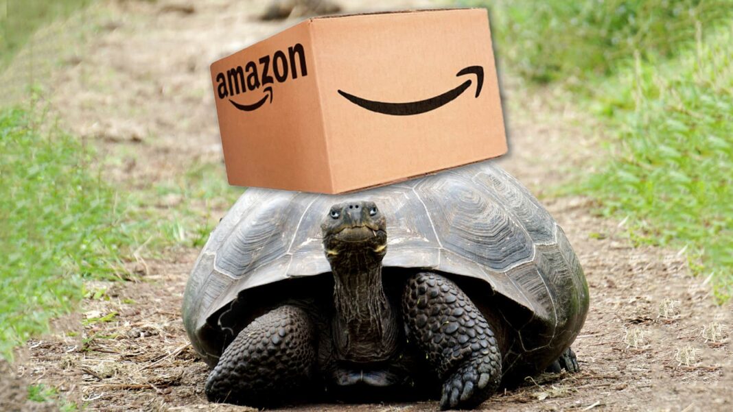 turtle walking with amazon box