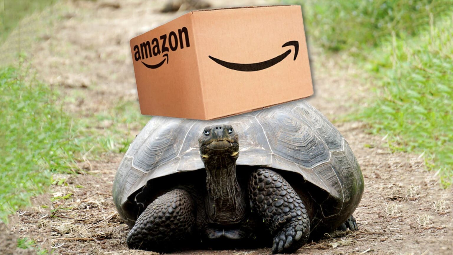 What Does Rush Shipping Mean On Amazon