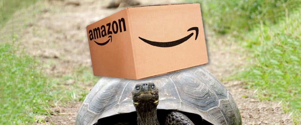 turtle walking with amazon box