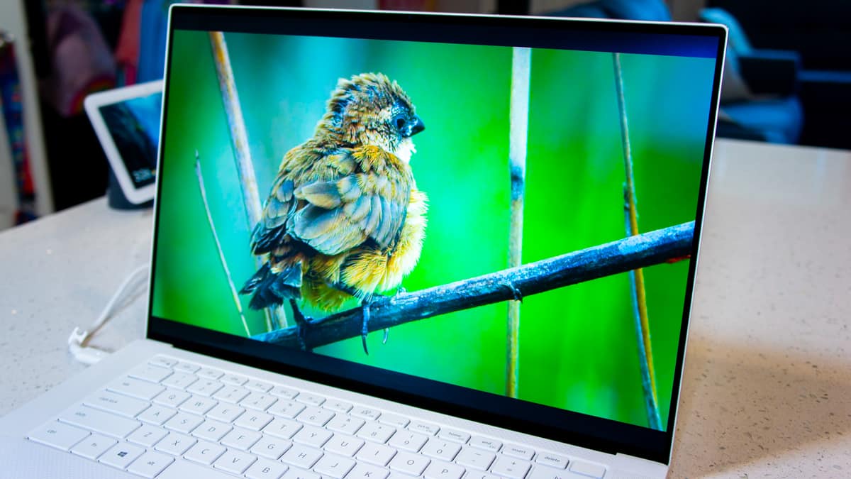 dell xps 15 showing HDR content