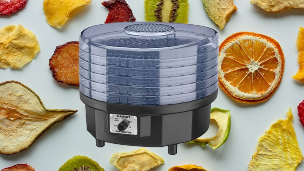 dehydrator over dried fruits