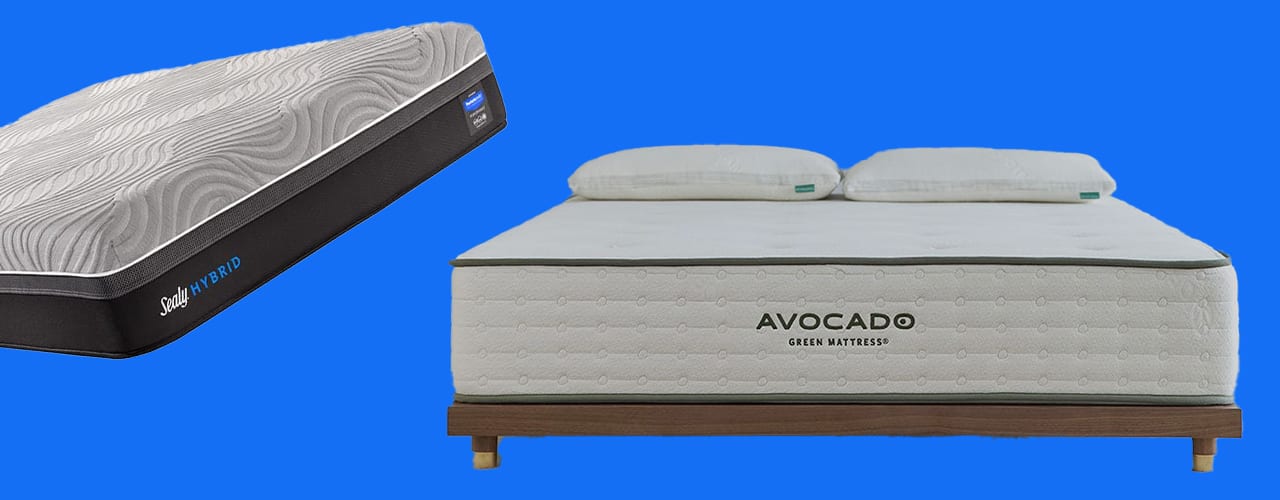 sealy and avocado mattress sale