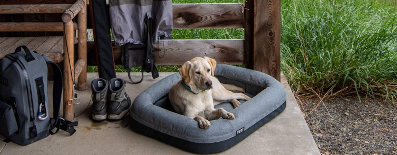 Everything You Need to Know About the YETI Dog Bowl and Dog Bed