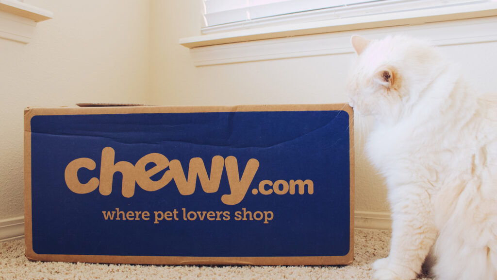 cat and Chewy.com box
