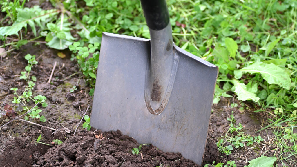 shovel in the dirt