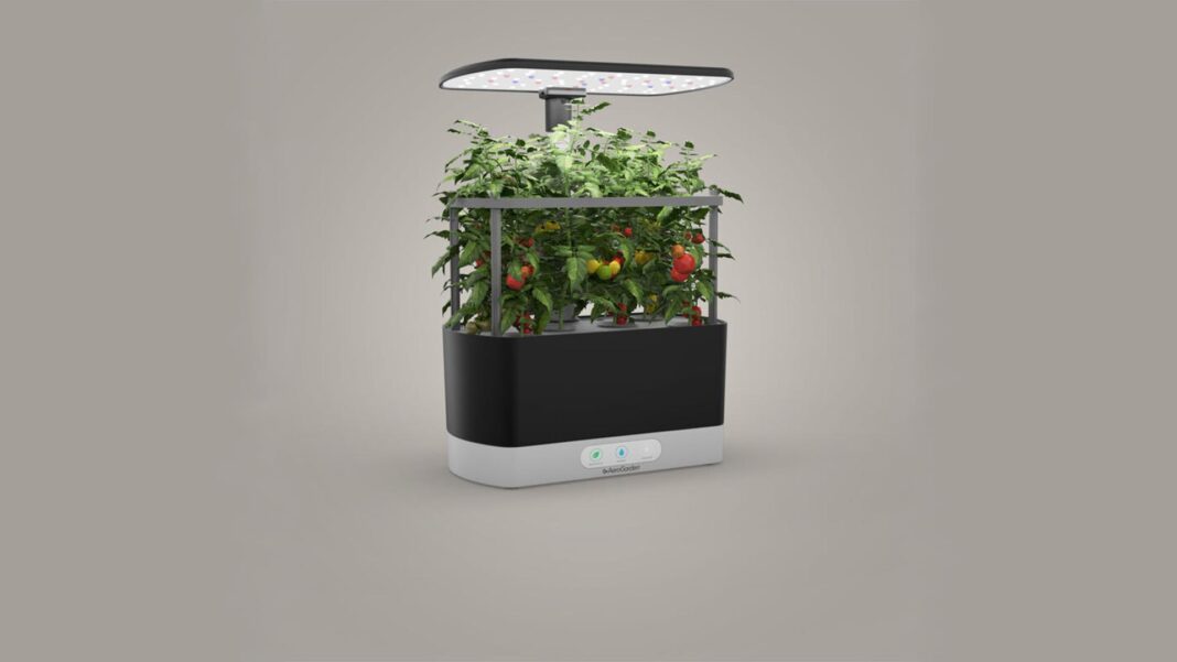 Aerogarden harvest XL