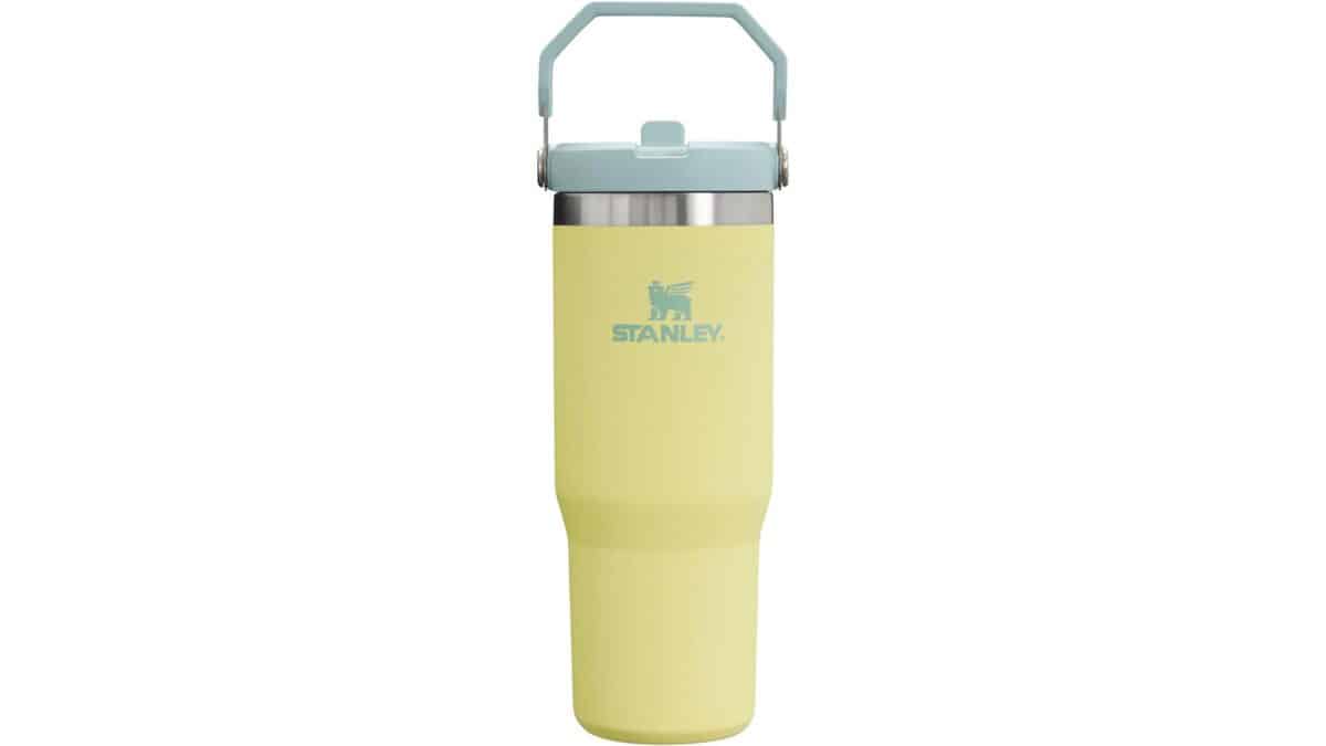Stanley IceFlow Flip Straw Tumbler